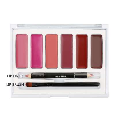 Custom Matte Lipstick Palette with Lip Brush Lip linerr Makeup Set Lip Palette