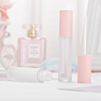 Recyclable No logo Empty Pink Matte Frosted Lip Gloss Tubes with Wands